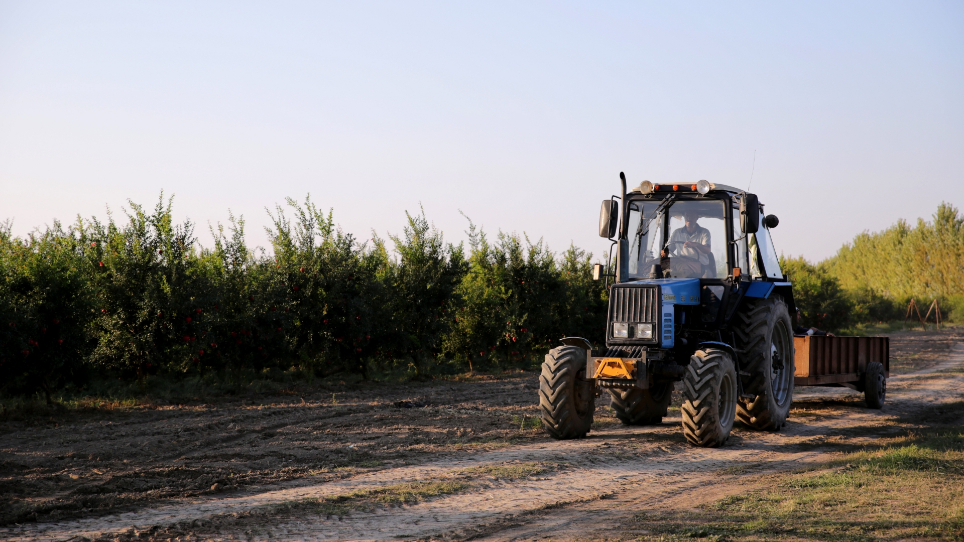 Logística de Maquinaria para producción agrícola